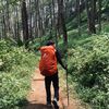 Joko Syamsuddin