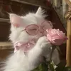 waka_waka0121