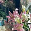 heba_sideg