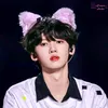 tuyn.phan739
