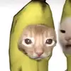 phwg_hanhh3