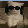 alyazydy3