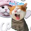 pov_cats6