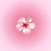 glala_787