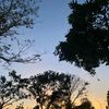 fiaz_ftbll