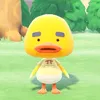 user.271202