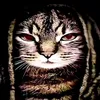 anka_11