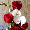 abdul.rahim6184