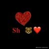 karaleva__sh