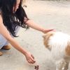 sushila_limbu16