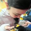 bella.and.tristan.4evea