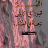 user4754335374177
