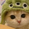 amiichi_