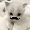 ivyybaby00