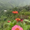 jannat83079