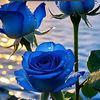 user8821942868250