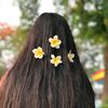 faridayesmim