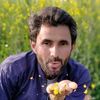 zafar.ali0906