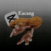 ibnu.aqif