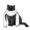 cattv480