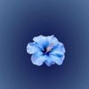 enerel.enerel579