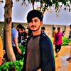 ali.tiger.711