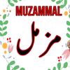 muhammad.muzammai94