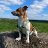 russell._simba