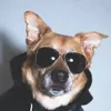 ethanshepherd8