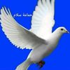 .mohamd169