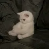 bohaysuyy_
