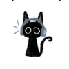 mishky_the.cat