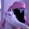 saminayousafzai0