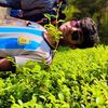 md.ruhul4124
