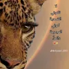 am_ree29