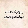 deedarsolangi584