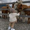fatemeh.ghalandar7