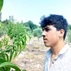 mouhdealio