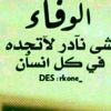 user8519560779752