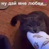 fredda_1983