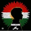 siraj.53