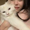 _kittynap_