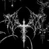 _stary_82