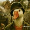 edwin.gomes11