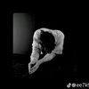 ss_lm511