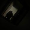 jazsliveaccountperiod