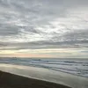 sofiii_121520