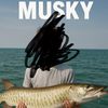 wildbaitcompany