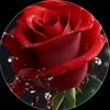 lalo.miya7