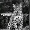 user9020171994934